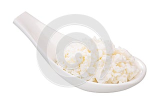 Spoon of fresh curd cottage cheese, path
