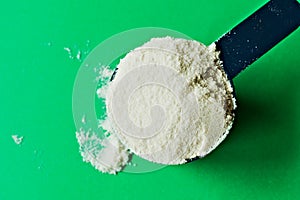 A spoon full of white chocolate flavor whey protein powder with copy space, green background. Top view