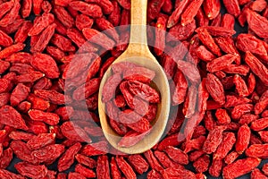 Spoon with Goji berries over red goji background. Healthy food concept