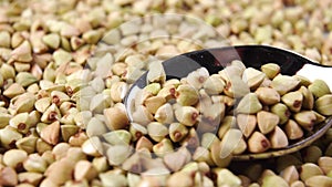 A spoon grabs raw green buckwheat grains close-up.