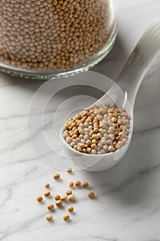 Spoon with a heap of dried organic white mustard seed