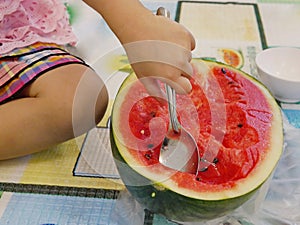 A spoon in a little baby`s hand who is scooping fresh watermelon by herself - encourage your child to eat fruits