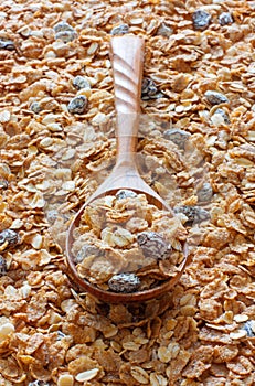 Spoon of muesli