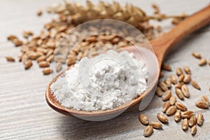 Spoon with organic flour and grains of wheat on wooden table, closeup