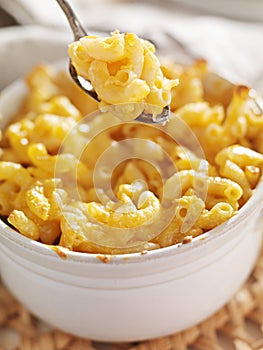 Spoon picking up macaroni and cheese photo