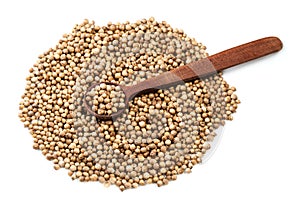 Spoon on pile of dried coriander seeds on white