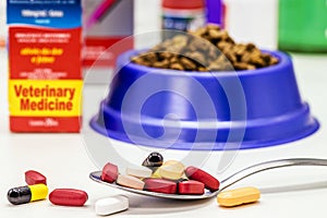 Spoon with pills or veterinary medicine, supplements or vitamins for pets, with pet food in the background