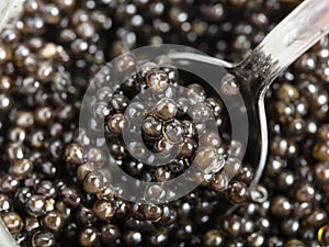 Spoon scoops black sturgeon caviar from glass jar