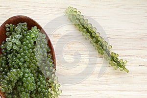 Spoon of Sea grapes or green caviar Caulerpa lentillifera Seaweed isolated on white background. Top view