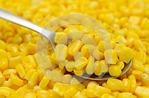 Spoon of sweetcorn kernels