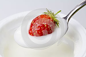 spoon of yogurt with strawberries