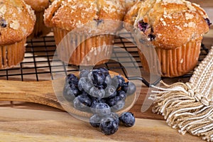 Spoonful of Blueberries and Blueberry Muffins