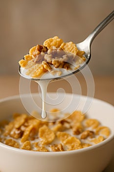 Spoonful of Cereal with Milk and Walnuts AI-GENERATED