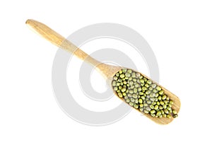 A spoonful of mung beans on a white background