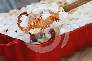 Spoonful of Sweet Potato Casserole Baked with Mini Marshmallows