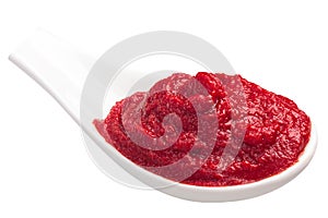 Spoonful of tomato paste or puree