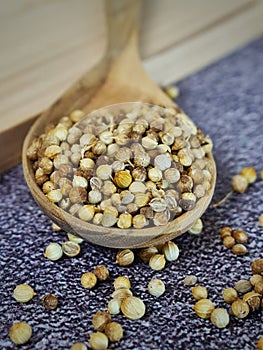 A spoonfull of coriander