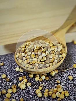 A spoonfull of coriander