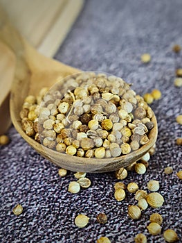 A spoonfull of coriander