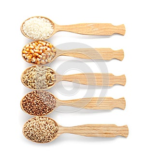 Spoons with different types of grains and cereals photo