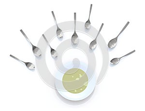 Spoons look like sperm competition