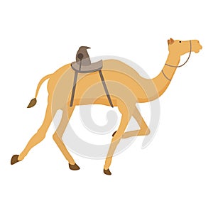 Sport animal running icon cartoon vector. Arabia saudi