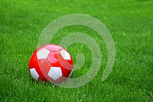 Sport ball over the grass