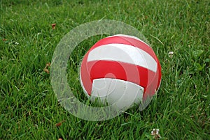 Sport ball over the grass