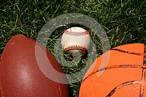 Sport Balls in Grass