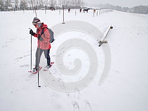 Sport body woman is hiking at horse farm with snowshoes