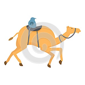 Sport camel racing icon cartoon vector. Chase farming sport