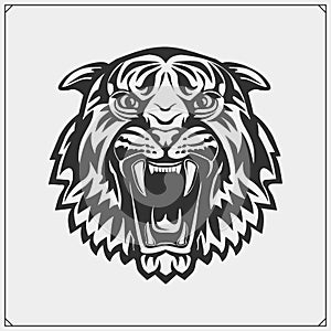 Sport club emblem with tiger.  Print design fot t-shirt. photo