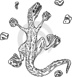 Sport dinosaur illustration isolated on backgroud