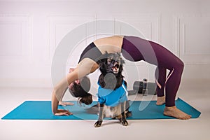 Sport with a dog. Attractive young woman working out on the blue fitness mat with her dog. Athletic woman doing exercise