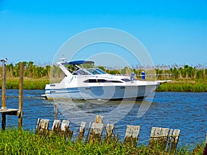 Sport Fishing Boat