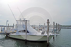 Sport Fishing Boat