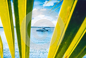 Sport fishing boat coconut leaves