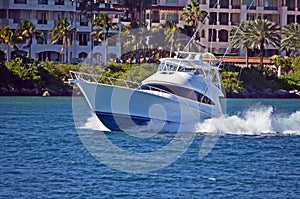 Sport Fishing Boat Speeding on Government Cut