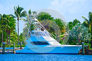 Sport fishing yacht with lush tropical background