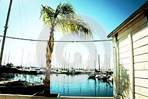 Sport harbour Aguadulce Marina near Roquetas. 45