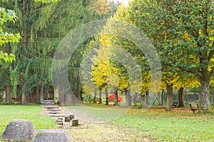 Sport and health in autumnal park photo