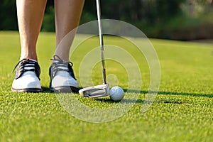 Sport Healthy. Close up Golfer asian sporty woman focus putting golf ball on the green golf on evening time.