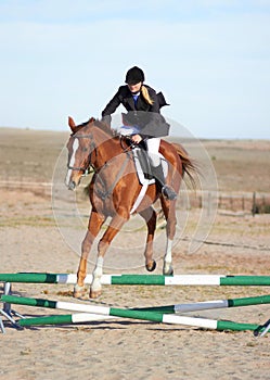 Sport, jump and equestrian with woman on horse for show, competition and performance. Training, derby and health with