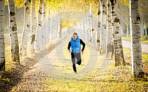 Sport man running outdoors in off road trail ground with trees under beautiful Autumn sunlight