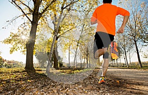 Sport man with strong calves muscle running outdoors in off road trail ground with trees under beautiful Autumn sunlight