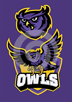 Sport mascot style of owl in set