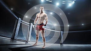 Sport. MMA fighter in the octagon. Muscular athlete. MMA cage. 3D