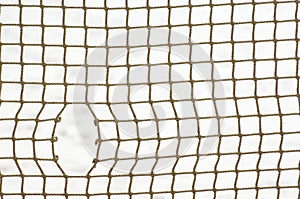 Sport net with hole