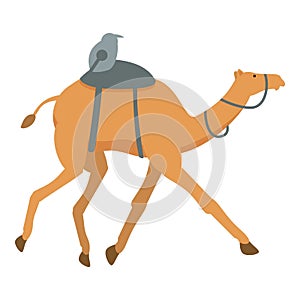 Sport running camel icon cartoon vector. Arab dessert running