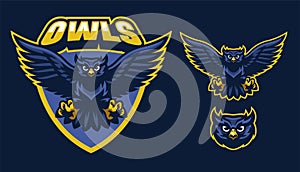 Sport style of owl mascot